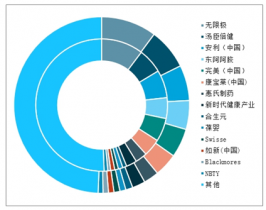 2022-2028年中國(guó)維生素與膳食補(bǔ)充劑市場(chǎng)深度調(diào)查與發(fā)展前景
