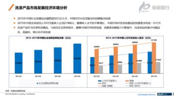 2016年中國洗滌產品行業發展調研項目中的法律咨詢與服務 合規經營與風險防控